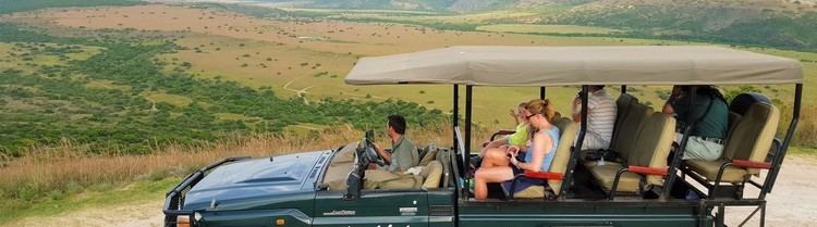 Game reserve Amakhala Game Reserve Safari Trips Safari Lodges Eastern Cape