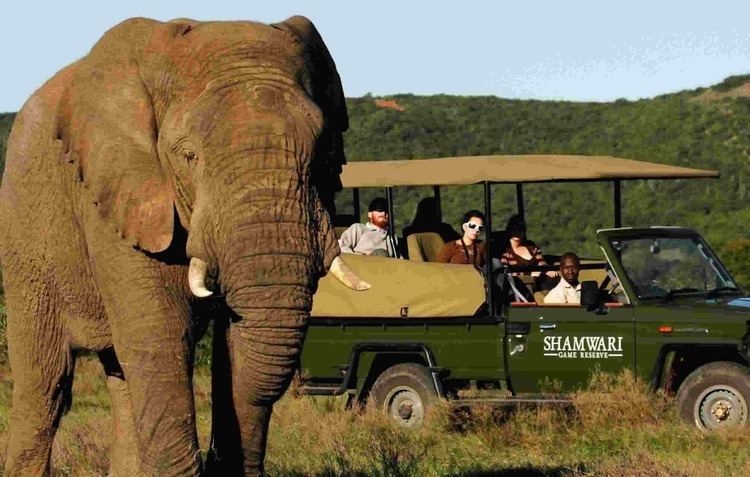 Game reserve Shamwari Game Reserve in Port Elizabeth Where2Stay