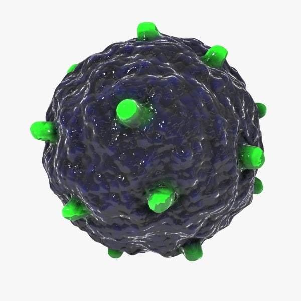Gammaretrovirus gammaretro virus 3d max