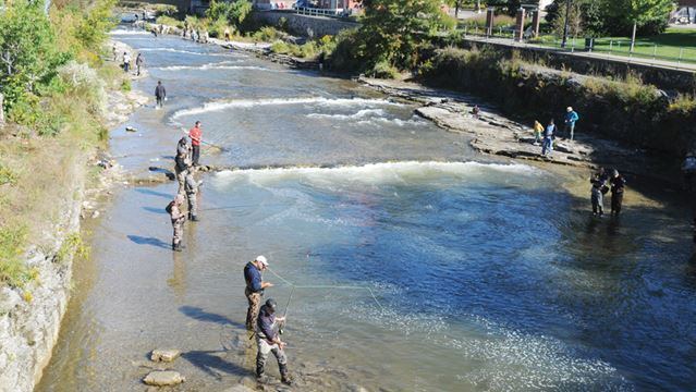 Ganaraska River Port Hope fights 39slaughter alley39 fishing in Ganaraska River