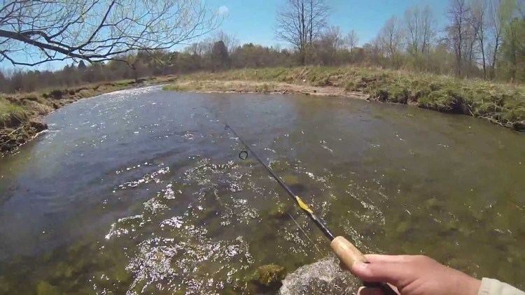 Ganaraska River Ganaraska River Port Hope Ontario 4 May 2013 YouTube