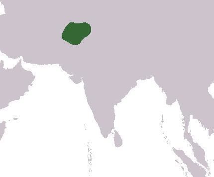 Gandhara Kingdom