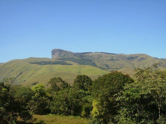 Gangamoola Gangamoola Hill Chikamagalur Top Tips Before You Go TripAdvisor