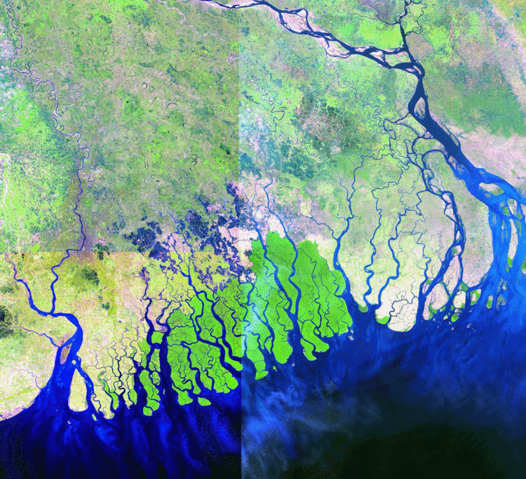Ganges Delta WWD Continents