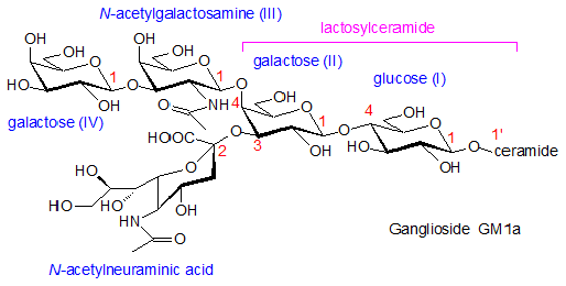 Ganglioside Gangliosides AOCS Lipid Library