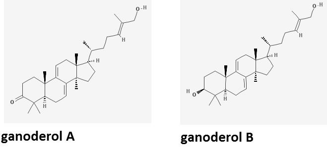 Ganoderol