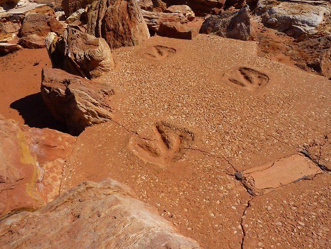 Gantheaume Point kimberleywacom Dinosaur Footprints Gantheaume Point Broome