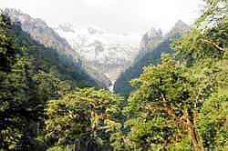 Gaoligongshan National Nature Reserve MacArthur Foundation Supports Himalayan Conservation