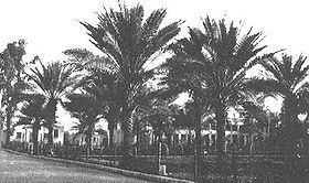 Garden of Ridván, Baghdad httpsuploadwikimediaorgwikipediacommonsthu