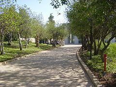 Garden of the Righteous Among the Nations httpsuploadwikimediaorgwikipediacommonsthu