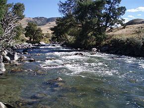 Gardner River httpsuploadwikimediaorgwikipediacommonsthu