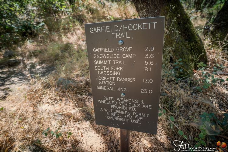 Garfield Grove Garfield Grove Sequoia National Park California FliProductionscom