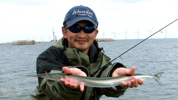 Garfish Fishing with Rod Lure fishing for garfish YouTube