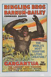 Gargantua (gorilla) httpsuploadwikimediaorgwikipediacommonsthu