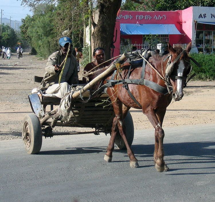 Gari (vehicle)