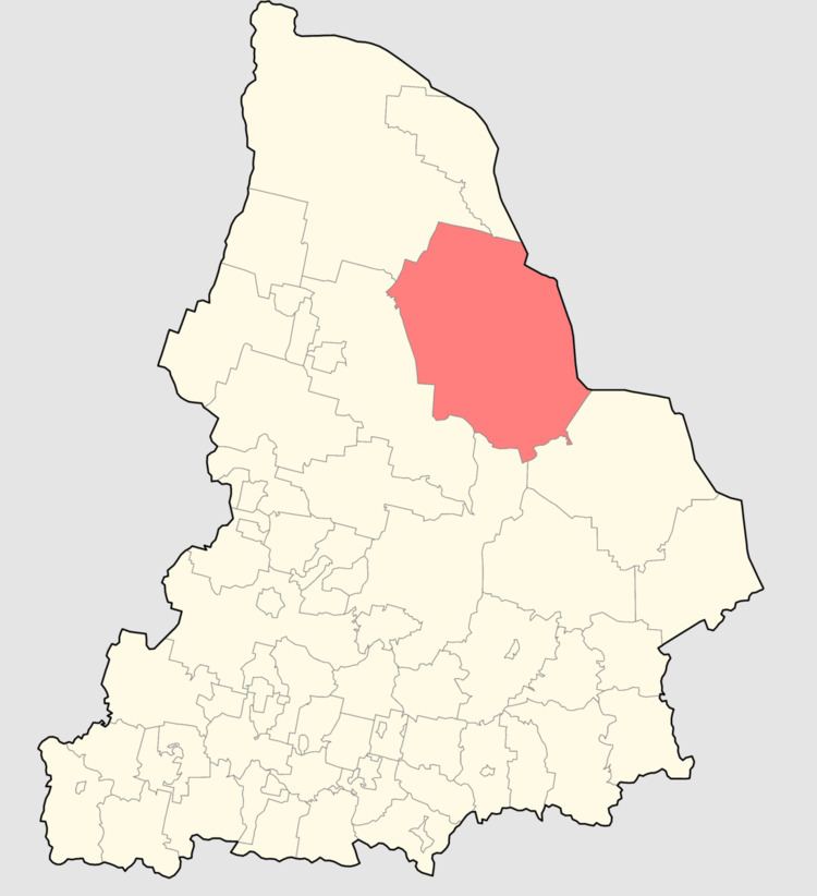 Garinsky District
