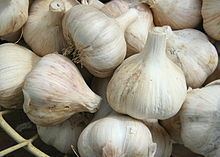 Garlic Garlic Wikipedia