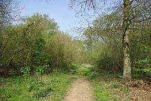 Garnetts Wood and Barnston Lays httpsuploadwikimediaorgwikipediacommonsthu