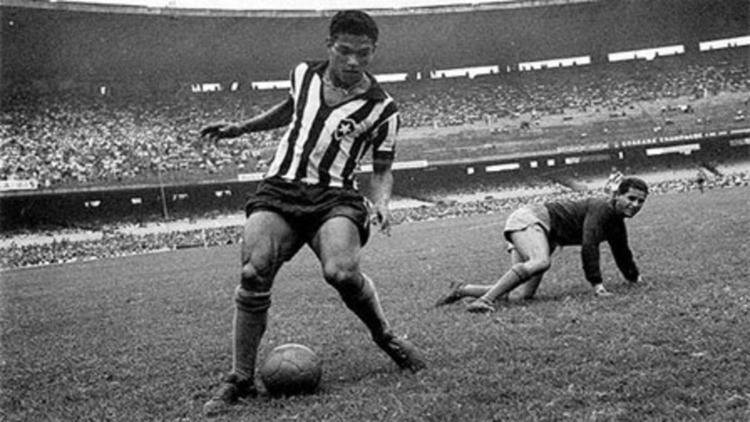 Garrincha: Hero of the Jungle Garrincha Hero of the Jungle 1962 MUBI