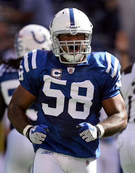 Gary Brackett Gary Brackett Pictures Baltimore Ravens v Indianapolis