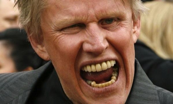 Gary Busey Curiosities The Wit and Wisdom of Gary Busey
