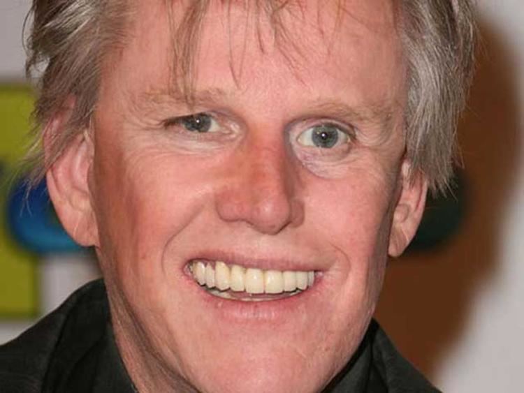 Gary Busey Two Bystanders Face Charges Following Gary Busey Traffic