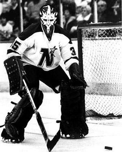 Gary Edwards (ice hockey) Gary Edwards what a goalie Pinterest Hockey Minnesota north