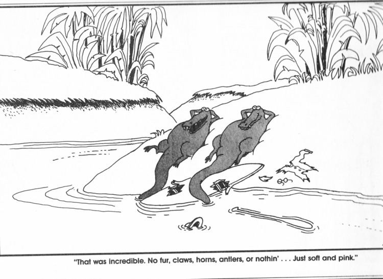 A caricature by Gary Larson, in a river with grass land and trees, a two alligator, laying on the ground with a broken kayak, a paddle, a hat in the river, an eyeglass and a ragged shirt on the land next to alligators. Below are the words “That was incredible. No fur, No claws, horns, antlers, or nothin’ … just soft and pink.”