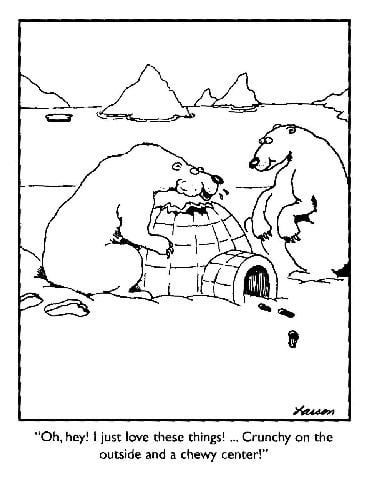 A caricature by Gary Larson, in a snow field and lake with two snow bears and an igloo, from left a snow bear eating the igloo, at the right a snow bear standing looking at the igloo.Below is the word “Oh, hey! I just love these things! … Crunchy on the outside and chewy center!”
