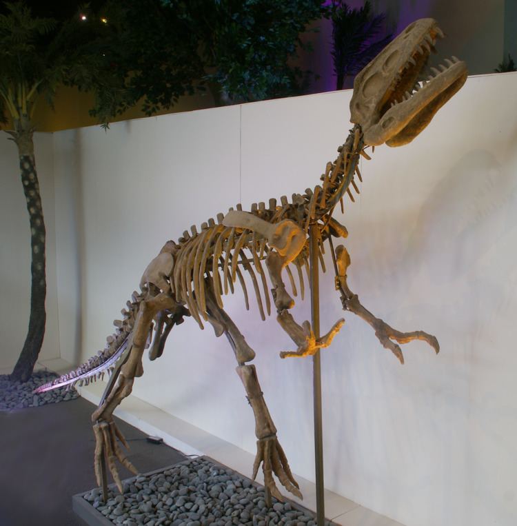 Gasosaurus Gasosaurus Wikipedia