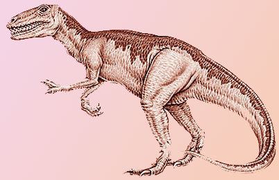 Gasosaurus Gasosaurus Dinosaur Facts information Dinosaur skeleton