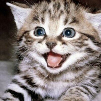 Gatopardo (magazine) gato pardo guerrero on Twitter quotHasta cuando las autoridades van