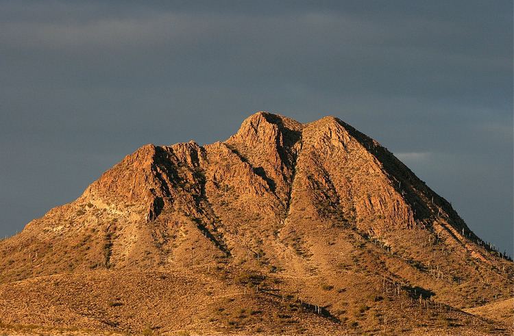 Gavilan Peak (Arizona) httpsuploadwikimediaorgwikipediacommons22