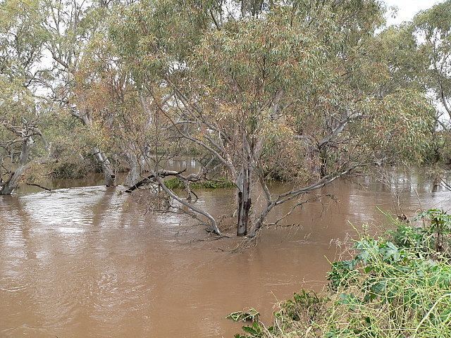 Gawler River, South Australia httpsuploadwikimediaorgwikipediacommonsbb