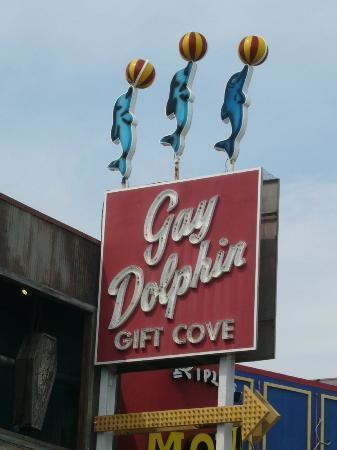 Gay Dolphin Gift Cove httpsmediacdntripadvisorcommediaphotos02