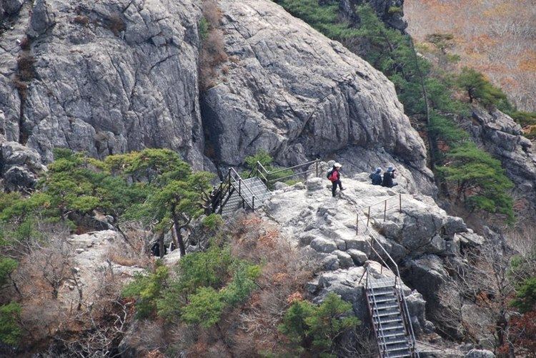 Gayasan National Park Panoramio Photo of Stairs and ladders in Gayasan National Park