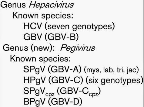GB virus C Hepatitis News GB Viruses renamed to Pegiviruses