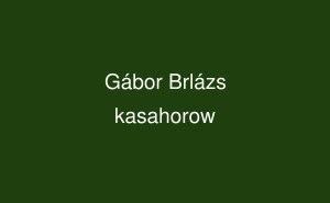 Gábor Brlázs Gbor Brlzs English kasahorow