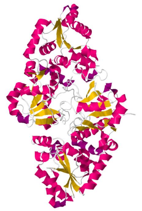 GDP-fucose protein O-fucosyltransferase 1