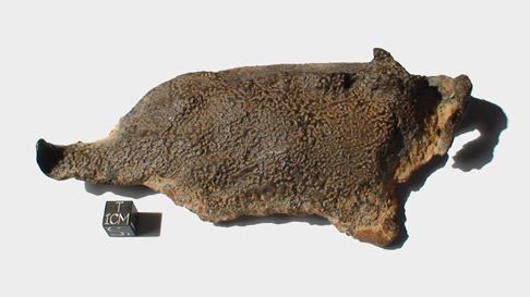 Gebel Kamil (meteorite) Meteoritefr For Sale Iron Meteorite Gebel Kamil