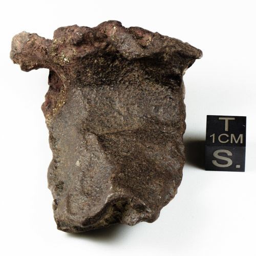 Gebel Kamil (meteorite) httpswwwmeteoritesforsalecomimagesPgk32jpg