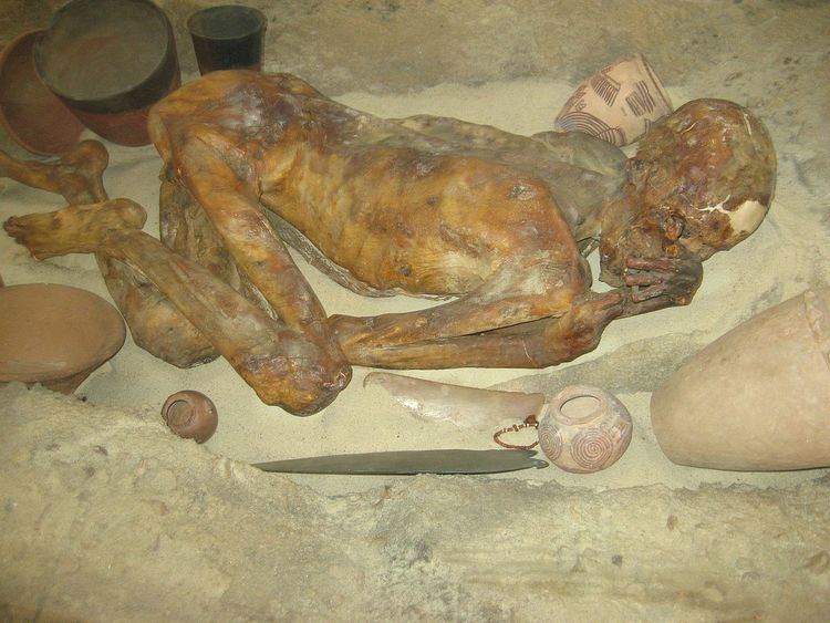 Gebelein predynastic mummies