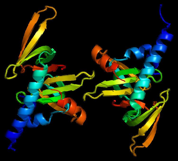 Gem-associated protein 6