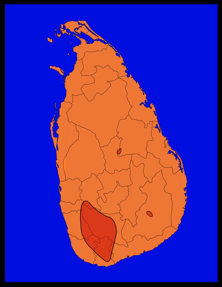 Gems of Sri Lanka