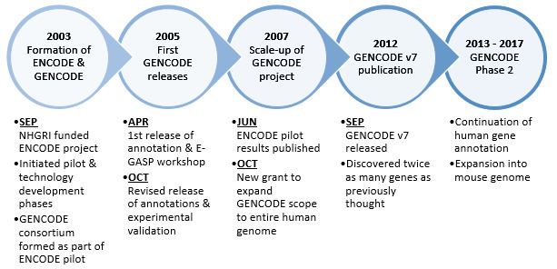 GENCODE
