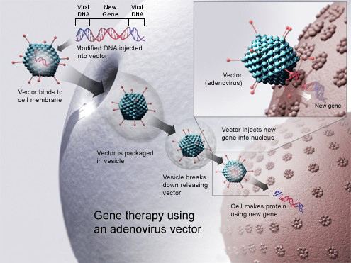 Gene doping