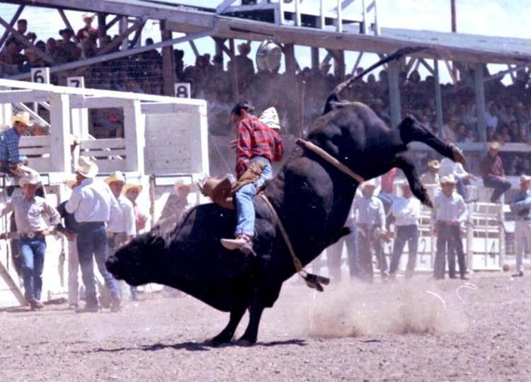 Gene Lyda DUEL IN THE SUN RCA bull rider Gene Lyda of Somerset Texas on 122