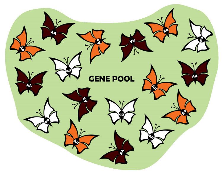 Image result for Gene pool