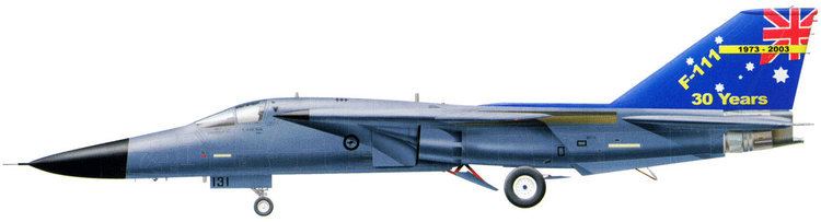 General Dynamics F-111C WINGS PALETTE General Dynamics F111EF111 AardvarkRaven Australia