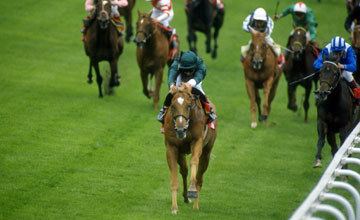 Generous (horse) Derby winner Generous dies aged 25 UK Bloodstock News Racing Post